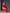 Red Long Sleeve Midi Dress - back view | ELAGIA
