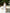 Livia White Satin Halter Ruched High-Slit Maxi Dress