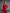 ELAGIA Serelle Red Single-Breasted Suit 2-Piece front view - 3 piece women's suit purple business suit women