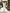 Beige Cut-Out Neck Midi Dress - view 6 | ELAGIA