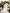 Beige Cut-Out Neck Midi Dress - view 7 | ELAGIA