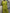 Faustine Olive Double-Breasted Suit 2-Piece