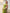 Riva Green Ruched Halterneck Sleeveless Maxi Dress