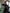 Monica Brown High-Waist Flared Pants - back view | ELAGIA