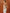 Cecilia White Satin Lace-Trim V-Neck Maxi Dress