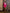 Crimson Crop Jacket Asymmetric Skirt Suit 2-Piece - view 8 | ELAGIA