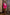 Crimson Crop Jacket Asymmetric Skirt Suit 2-Piece - front view | ELAGIA