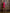 Crimson Crop Jacket Asymmetric Skirt Suit 2-Piece - side view | ELAGIA