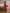 Red Bow Back Mini Dress - styled look | ELAGIA