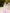 Ginevra Pink One-Shoulder Cape-Sleeve Maxi Dress