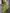 Faustine Olive Double-Breasted Suit 2-Piece