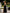 Black V-Neck Slip Midi Dress - styled look | ELAGIA
