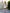 Isabelle White Halter-Neck Sleeveless Mini Dress