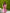 Isabelle Pink Halter-Neck Sleeveless Mini Dress