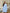 Sky-Blue High Neck Double-Breasted Blazer Dress – Crepe silhouette, side profile