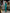 Monica Emerald Halter Neck Satin Midi Dress - front view | ELAGIA