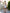 Isabelle Sky-Blue Halter-Neck Sleeveless Mini Dress