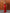 Cecilia Red Satin Lace-Trim V-Neck Maxi Dress