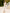 Isabelle Beige Puff-Sleeve Pencil Midi Dress