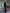 Melanie Black V-Neck Long-Sleeve Midi Dress - styled look | ELAGIA