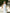 Livia White Satin Halter Ruched High-Slit Maxi Dress