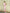 Dusty Pink Satin One-Shoulder Midi Dress - View 9 | ELAGIA