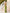 Riva Green Ruched Halterneck Sleeveless Maxi Dress
