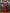 Léa Red Off-the-Shoulder Draped Maxi Dress - view 7 | ELAGIA
