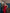 Red Satin Cowl-Neck Backless Slip Maxi Dress - view 11 | ELAGIA