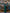 Léa Green Off-the-Shoulder Draped Maxi Dress - side view | ELAGIA