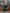 Léa Green Off-the-Shoulder Draped Maxi Dress - close-up detail | ELAGIA
