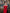 Léa Red Off-the-Shoulder Draped Maxi Dress - view 8 | ELAGIA