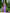 ELAGIA purple strapless v-neck jumpsuit front view - purple business suit women styling for professional wear