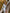 Stella White Satin One-Shoulder Cut-Out Maxi Dress - view 9 | ELAGIA