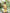 Aurora Yellow High-Neck Pocket Detail Mini Dress - back view | ELAGIA