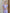 Monica Lavender Satin V-Neck Puff Sleeve Midi Dress - back view | ELAGIA