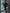 Green Cut-Out Neck Midi Dress - close-up detail | ELAGIA