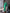 Green Cut-Out Neck Midi Dress - front view | ELAGIA