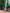 Stella Green Crop Jacket Short Suit 2-Piece - side view | ELAGIA