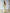 Stella Yellow Halter-Neck Backless Maxi Dress - view 7 | ELAGIA