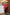 Red Backless Puff Sleeve Midi Dress - front view | ELAGIA