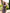 Stella Mocco Satin Slip Maxi Dress - view 6 | ELAGIA