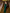Léa Green Off-the-Shoulder Draped Maxi Dress - styled look | ELAGIA