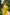 Selene Mustard Single-Breasted Wide-Leg Suit 2-Piece - close-up detail | ELAGIA