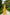 Selene Mustard Single-Breasted Wide-Leg Suit 2-Piece - side view | ELAGIA