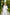 Selene White Single-Breasted Wide-Leg Suit 2-Piece - back view | ELAGIA