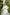 Selene White Single-Breasted Wide-Leg Suit 2-Piece - close-up detail | ELAGIA