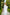 Selene White Single-Breasted Wide-Leg Suit 2-Piece - styled look | ELAGIA