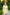 Monte Yellow Collarless Double-Breasted Blazer Dress - styled look | ELAGIA