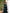 Emerald Satin Draped Neck One-Shoulder Maxi Dress - view 6 | ELAGIA
